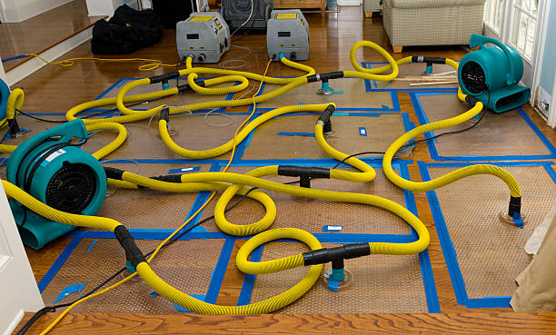 Professional Storm Water Damage Restoration technician working in Palo, IA